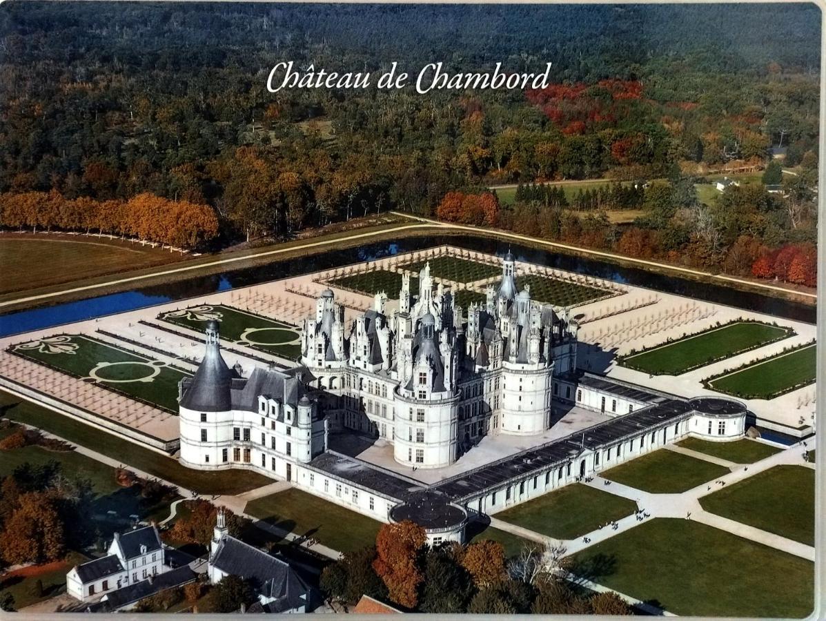 Gite Du Domaine De Juliette Location Proche Du Zoo De Beauval Et Des Chateaux Villa Selles-sur-Cher Exteriör bild